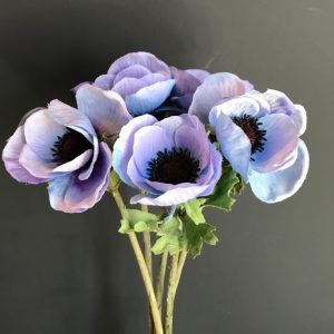 Anemone flower for home Decoration